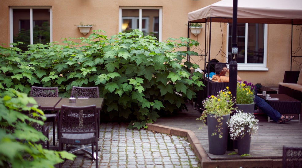 Green outdoor surrounding and comfortable seating at Uman Hotel in Umea
