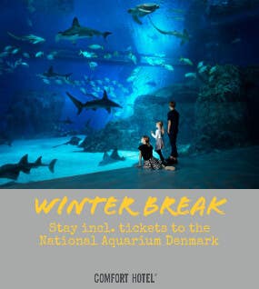 Winter Break Package